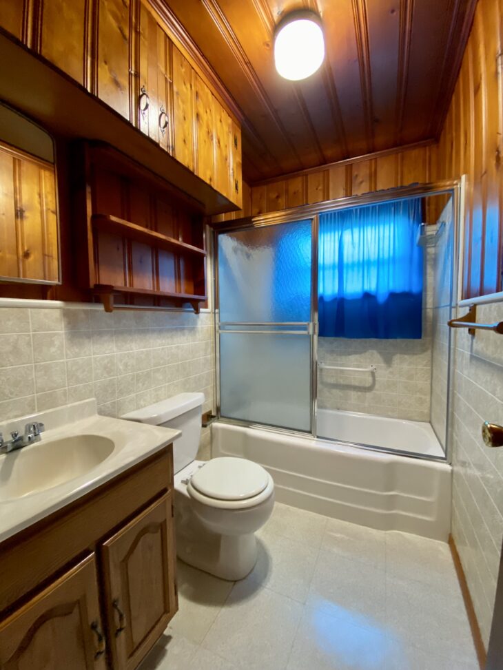 knotty pine bathroom 